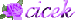 Nik