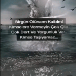 U]za[Q_S]aHiLLeRD[e..