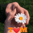 .turmis23.
